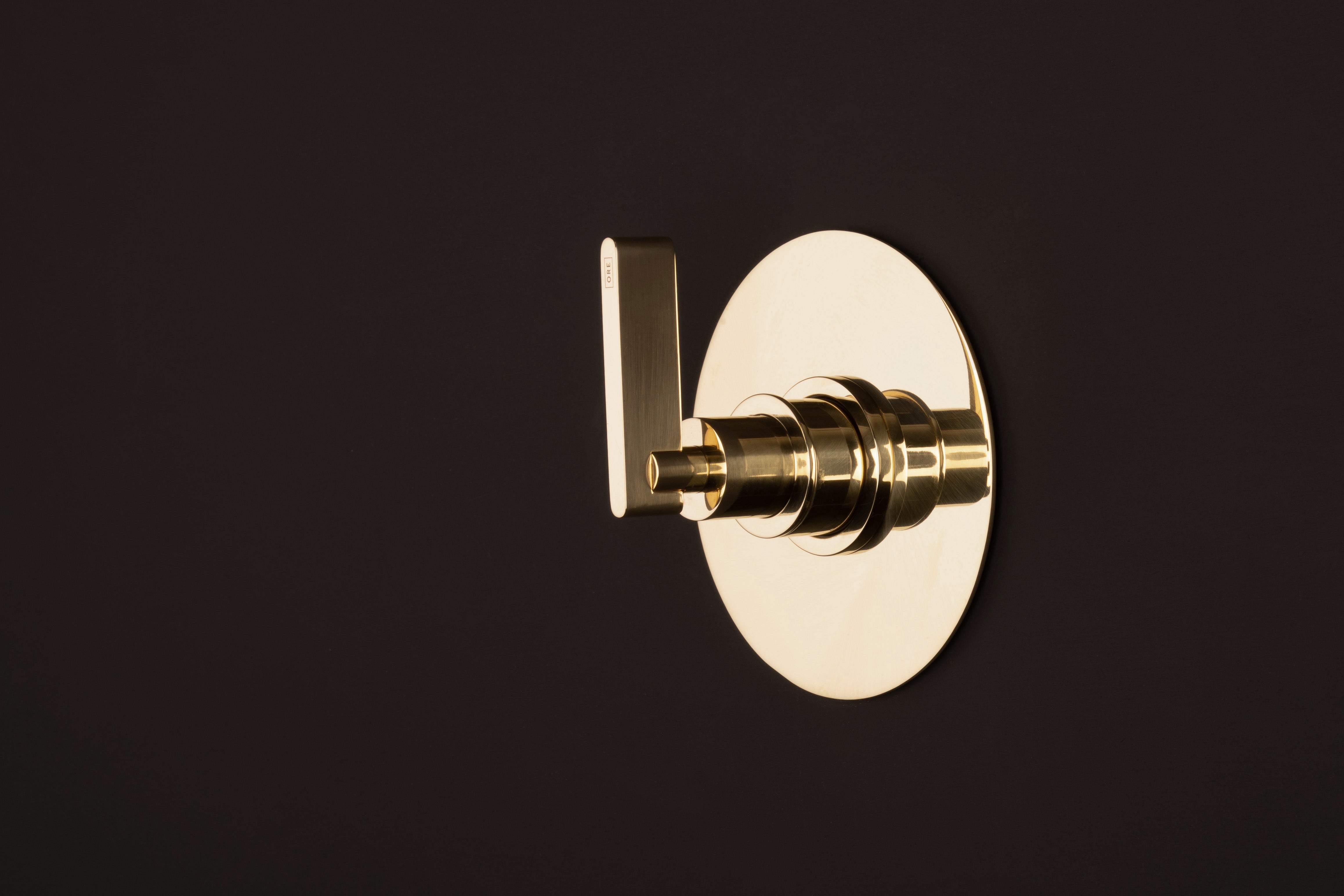 Chapter One Brass - Shower Thermostat Control with One Outlet & Backplate