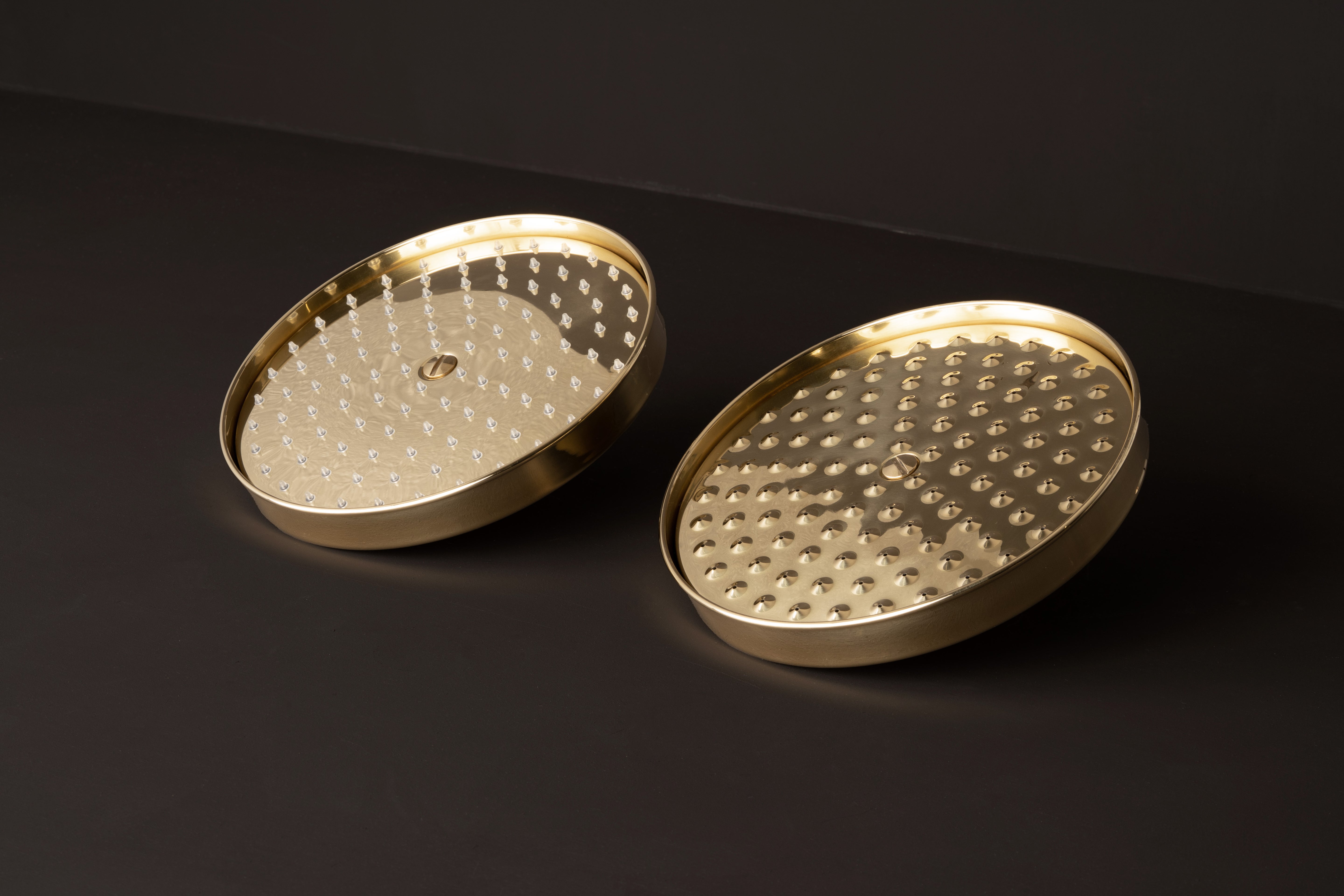 Shallow Minimalist Shower Rose 8 inch