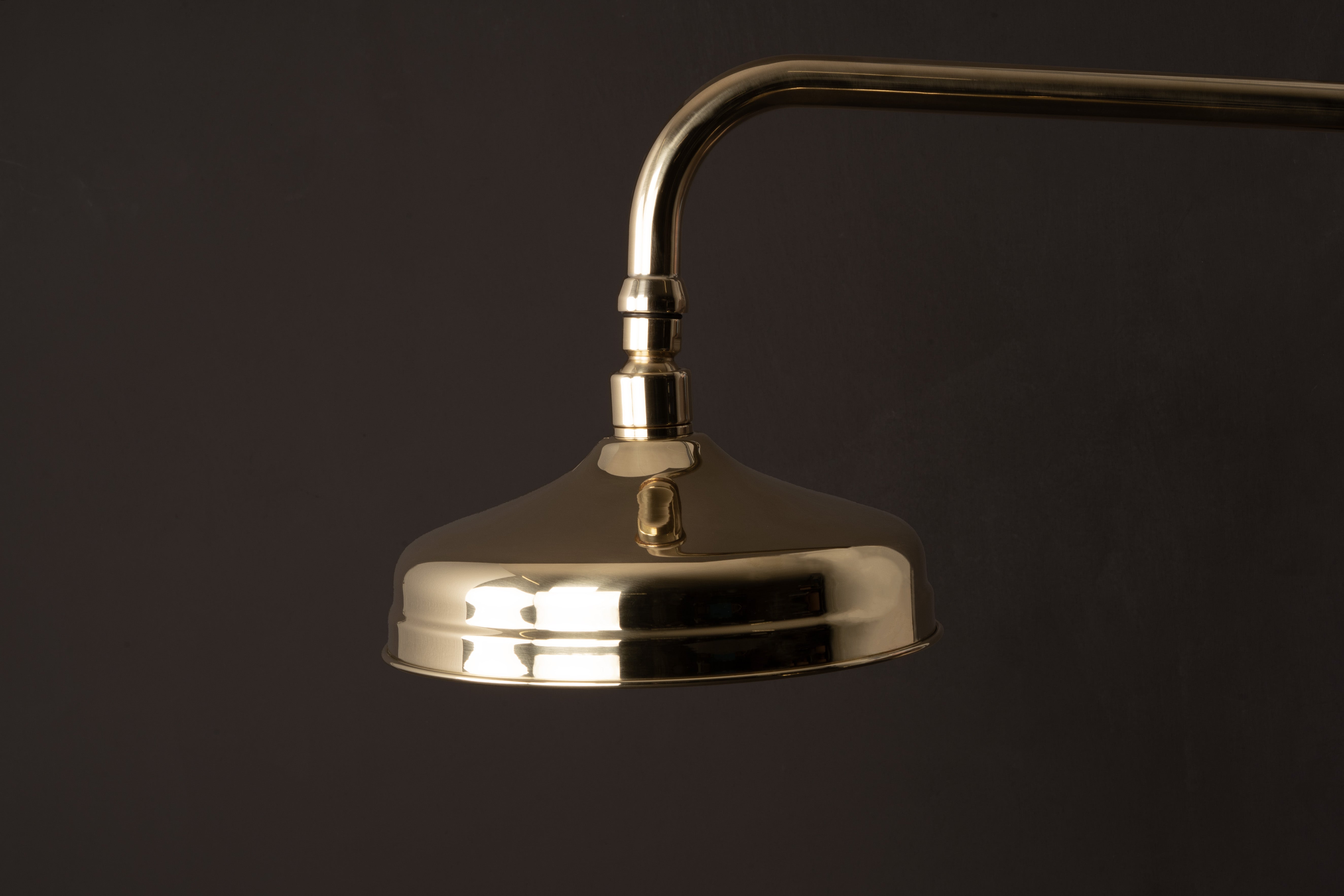 Brass Victorioan Shower Rose