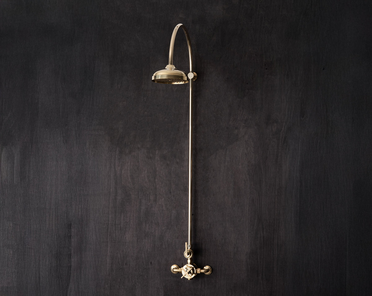 257 - Dual exposed Shower Thermostat