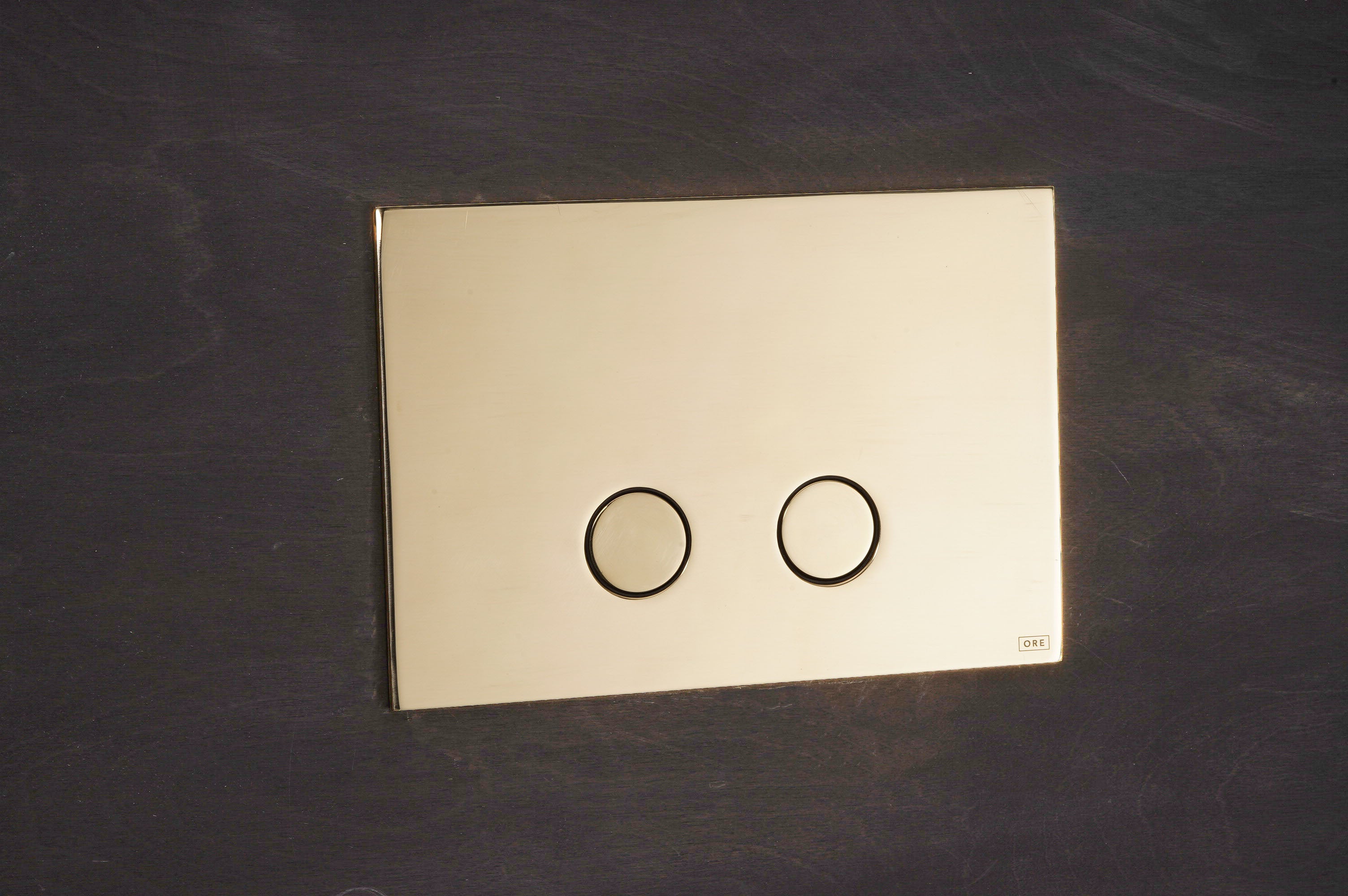 Dual Flush Plate by Studio Ore